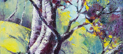 Silver Birches | 2019 | Oil on Canvas | 60 x 39 cm